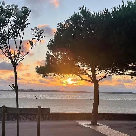 Vue Port, Arcachon, Piscine, Wifi * Аркашон