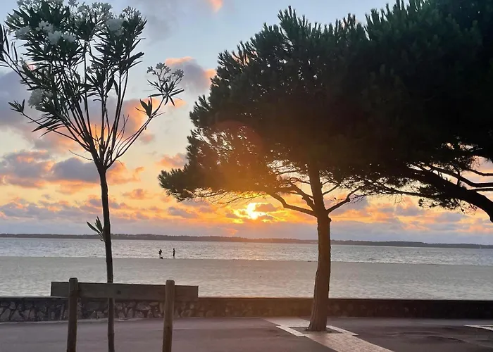 Vue Port, Arcachon, Piscine, Wifi * Arcachon